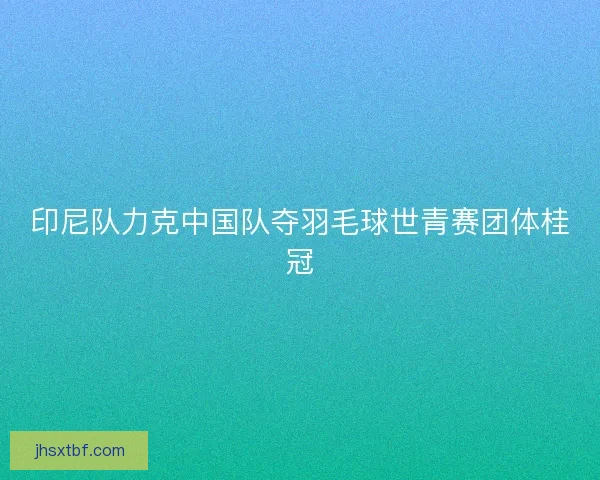 印尼队力克中国队夺羽毛球世青赛团体桂冠